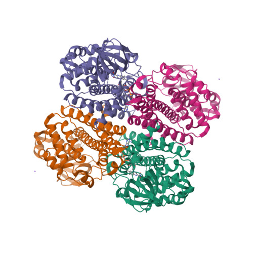 image of structure for 3NF4