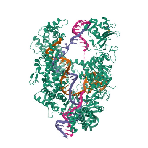 5NFV assembly