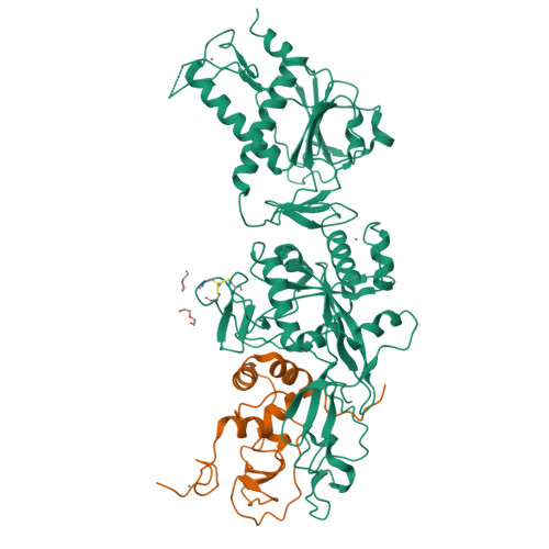Rcsb Pdb 5nfy Sars Cov Nsp10 Nsp14 Dynamic Complex