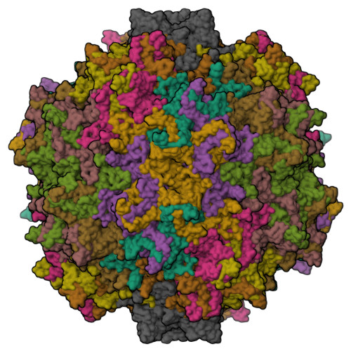 Rcsb Pdb 3ng9 Structure To Function Correlations For Adeno Associated Virus Serotype 1