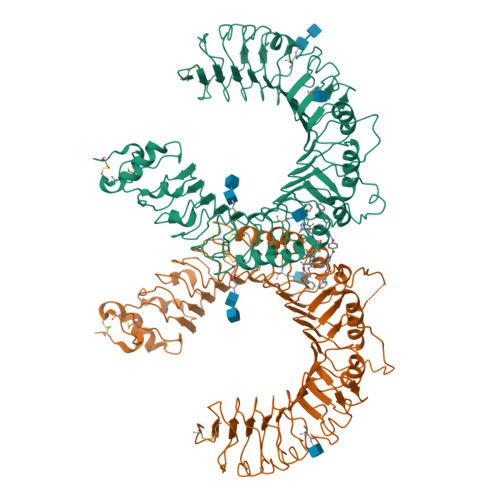 Rcsb Pdb 6nig Crystal Structure Of The Human Tlr2 Diprovocim Complex