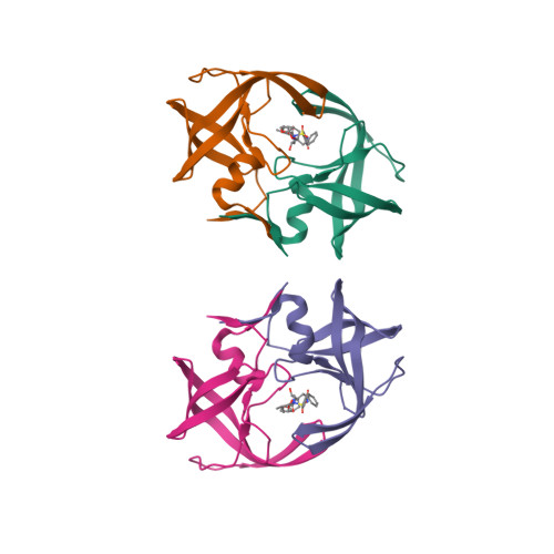 4NJS logo