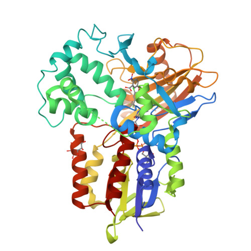 Rcsb Pdb 3nks Structure Of Human Protoporphyrinogen Ix Oxidase