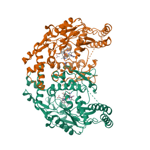 Rcsb Pdb 3nlj Structure Of Neuronal Nitric Oxide Synthase D597n M336v Y706a Triple Mutant Heme Domain Complexed With 6 3 R 4 R 3 2 3 Fluorophenethylamino Ethoxy Pyrrolidin 4 Yl Methyl 4 Methylpyridin 2 Amine