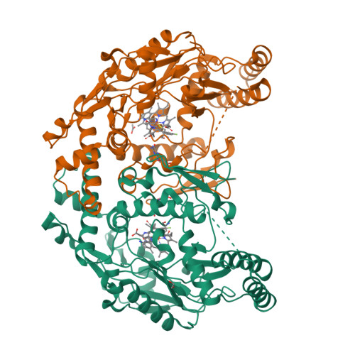 Rcsb Pdb 3nlo Structure Of Neuronal Nitric Oxide Synthase R349a Mutant Heme Domain In Complex With 6 3 S 4 R 3 2 3 Fluorophenethylamino Ethoxy Pyrrolidin 4 Yl Methyl 4 Methylpyridin 2 Amine