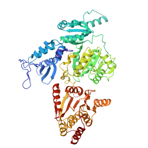 Rcsb Pdb 6nmi Cryo Em Structure Of The Human Tfiih Core Complex