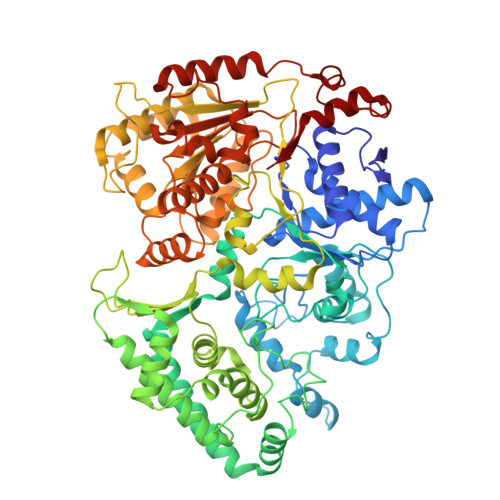 Rcsb Pdb 6nmi Cryo Em Structure Of The Human Tfiih Core Complex