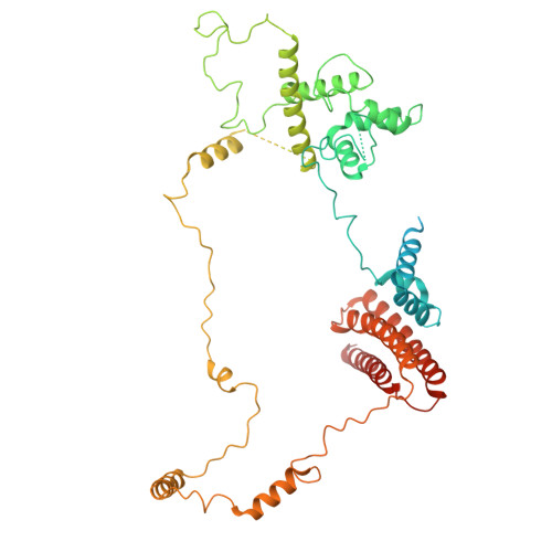 Rcsb Pdb 6nmi Cryo Em Structure Of The Human Tfiih Core Complex