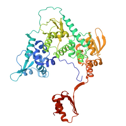 Rcsb Pdb 6nmi Cryo Em Structure Of The Human Tfiih Core Complex