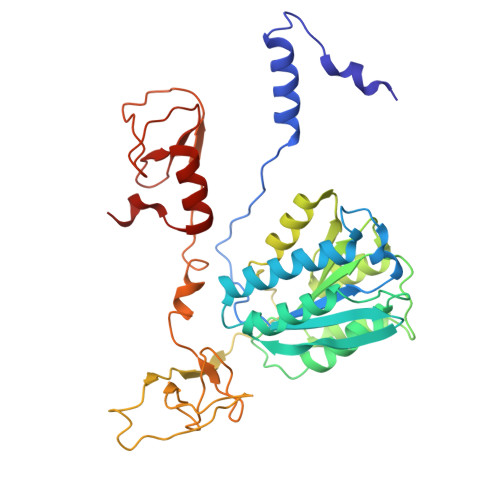 Rcsb Pdb 6nmi Cryo Em Structure Of The Human Tfiih Core Complex