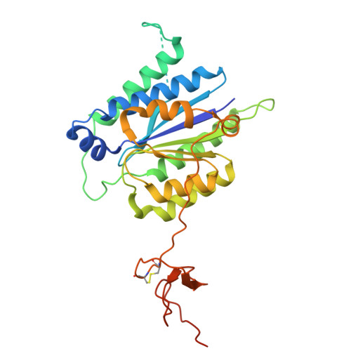 Rcsb Pdb 6nmi Cryo Em Structure Of The Human Tfiih Core Complex