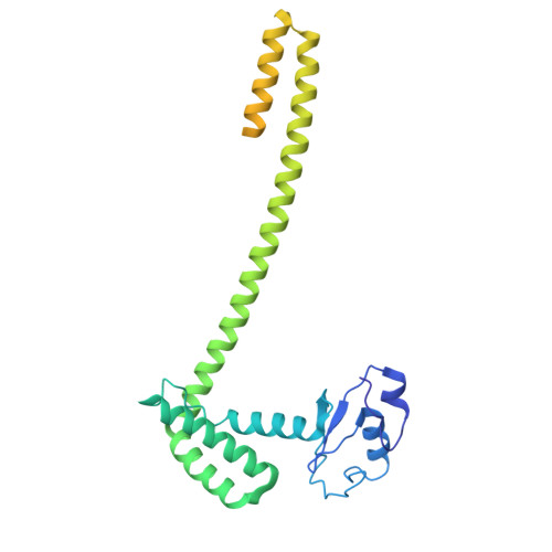 Rcsb Pdb 6nmi Cryo Em Structure Of The Human Tfiih Core Complex