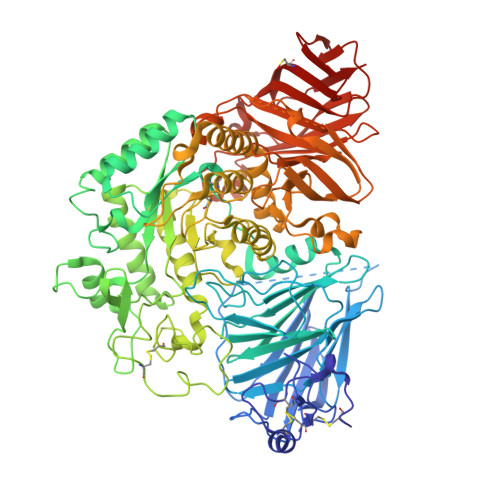 RCSB PDB - 5NN8: Crystal structure of human lysosomal acid-alpha