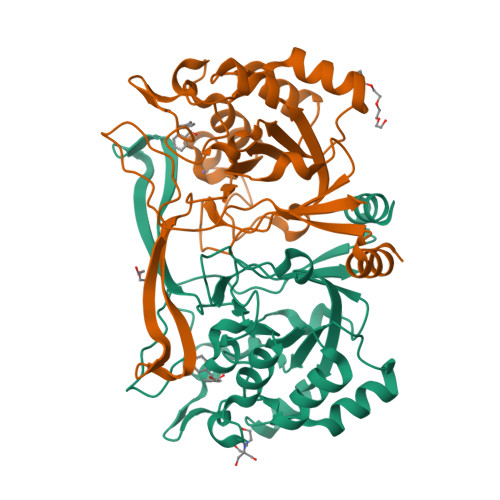 Rcsb Pdb 5nna Isatin Hydrolase A Iha From Labrenzia Aggregata Bound To Benzyl Benzoate