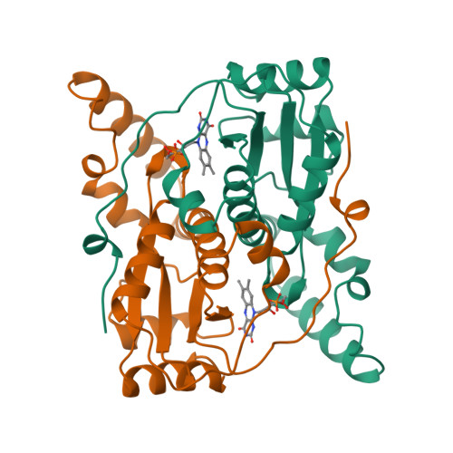 Rcsb Pdb 1nox Nadh Oxidase From Thermus Thermophilus