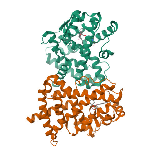 Rcsb Pdb 3noa Crystal Structure Of Human Ppar Gamma Ligand Binding Domain Complex With A Potency Improved Agonist