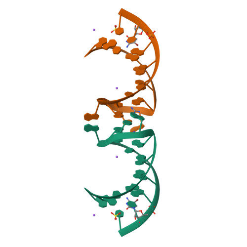 Rcsb Pdb 5nom The Structure Of The G Violaceus Guanidine Ii Riboswitch P1 Stem Loop With Guanidine