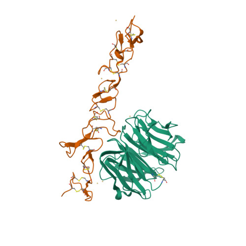 Rcsb Pdb 1npe Crystal Structure Of Nidogen Laminin Complex