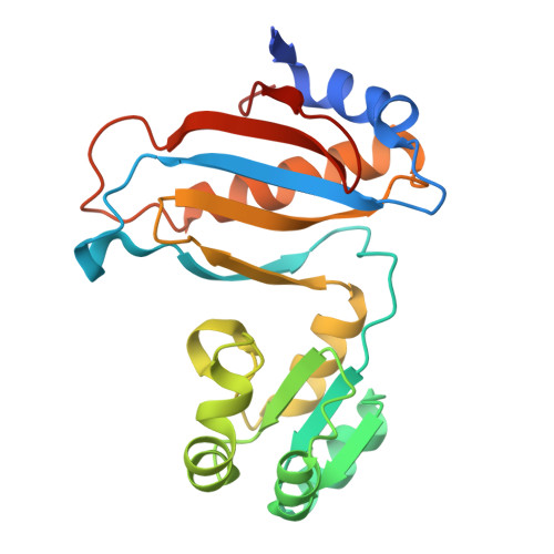 Rcsb Pdb 5npm Crystal Structure Of Mutant Ribosomal Protein Tthl1 Lacking 8 N Terminal Residues In Complex With 80nt 23s Rna From Thermus Thermophilus