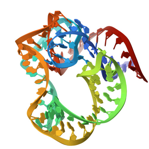 Rcsb Pdb 5npm Crystal Structure Of Mutant Ribosomal Protein Tthl1 Lacking 8 N Terminal Residues In Complex With 80nt 23s Rna From Thermus Thermophilus