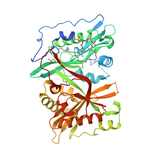 Rcsb Pdb 5npq Human N Myristoyltransferase 1 Mnt1 With Myristoyl Coa Analogue X10 Bound