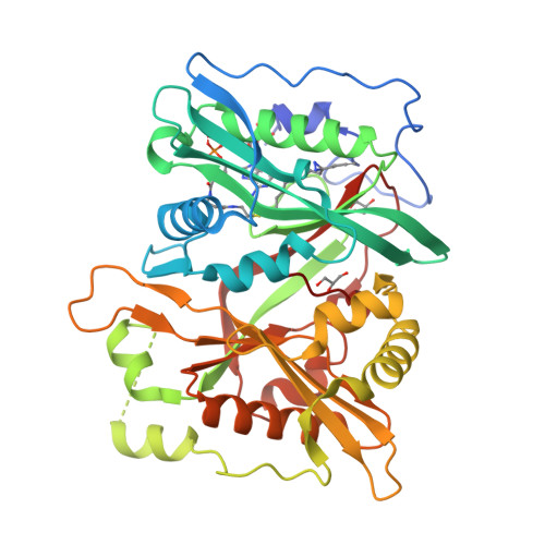 Rcsb Pdb 5npq Human N Myristoyltransferase 1 Mnt1 With Myristoyl Coa Analogue X10 Bound