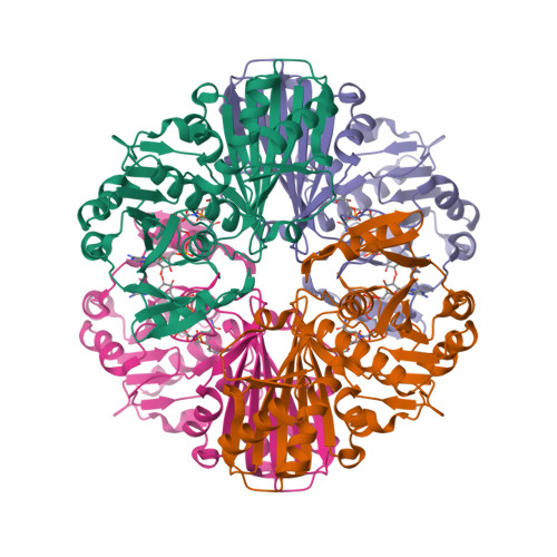 Rcsb Pdb 1nqo Glyceraldehyde 3 Phosphate Dehydrogenase Mutant With Cys 149 Replaced By Ser Complexed With Nad And D Glyceraldehyde 3 Phosphate