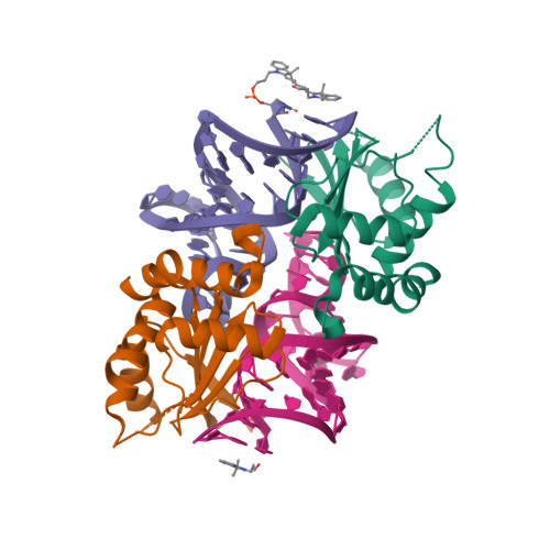 5NS3 assembly