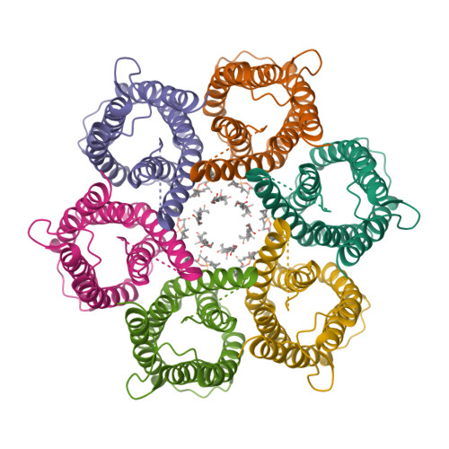 Rcsb Pdb 6nsj Cryoem Structure Of Helicobacter Pylori Urea Channel In Closed State