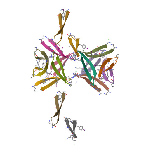 Rcsb Pdb 4ntp Crystal Structure Of Macrocycles Containing A 17 23 Lv Phi Faed And A 30 36 Aii Sar L Orn V