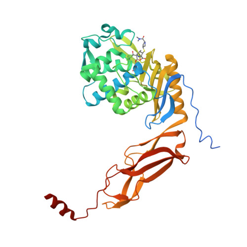 Rcsb Pdb 6ntz Crystal Structure Of E Coli Pbp5 Meropenem