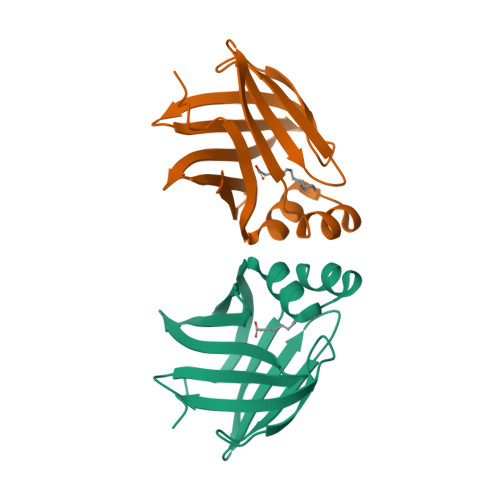 PMP2 logo