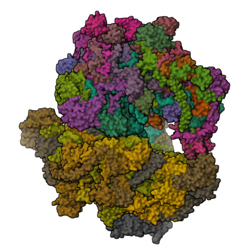 6NU3 assembly