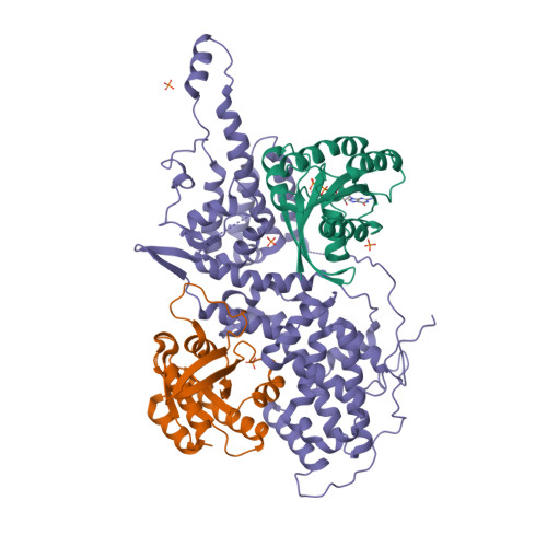 RCSB PDB - 1NVU: Structural evidence 