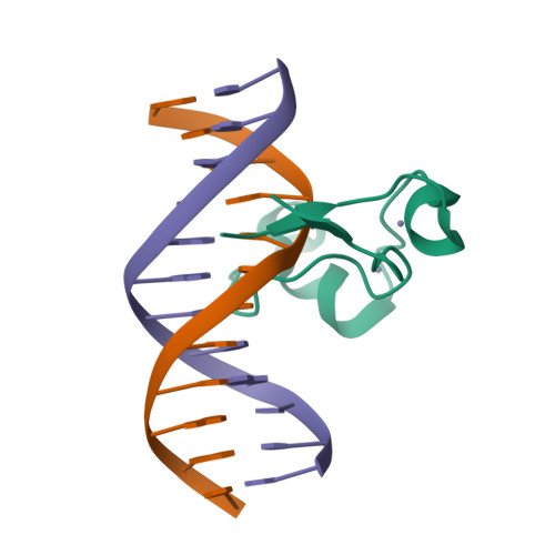 Rcsb Pdb 4nw3 Crystal Structure Of Mll Cxxc Domain In Complex With A Cpg Dna