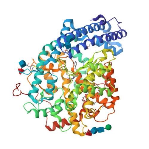 Rcsb Pdb 3nxq Angiotensin Converting Enzyme N Domain Glycsoylation Mutant Ndom389 In Complex With Rxp407