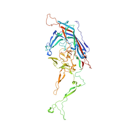 Rcsb Pdb 6nxe Cryo Em Reconstruction Of Protease Activateable Adeno Associated Virus 9 Aav9 L001