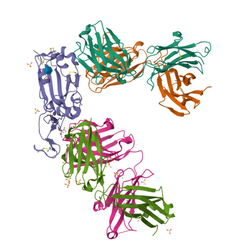 Rcsb Pdb 7nx7 Crystal Structure Of The K417n Mutant Receptor Binding Domain Of Sars Cov 2 Spike Glycoprotein In Complex With Covox 222 And Ey6a Fabs