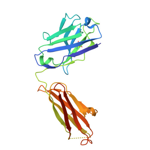 Rcsb Pdb 7nx7 Crystal Structure Of The K417n Mutant Receptor Binding Domain Of Sars Cov 2 Spike Glycoprotein In Complex With Covox 222 And Ey6a Fabs