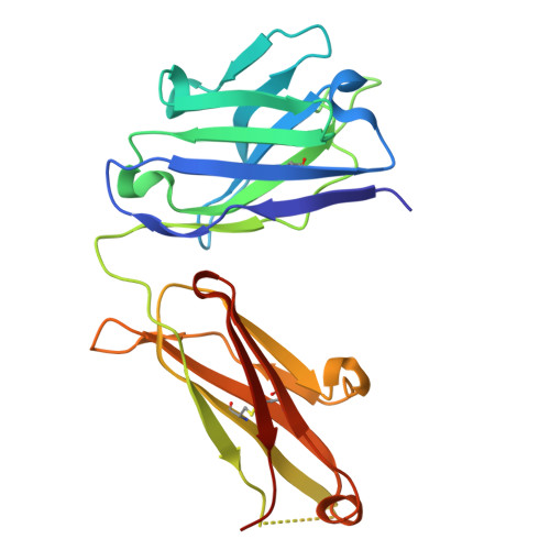 Rcsb Pdb 7nx7 Crystal Structure Of The K417n Mutant Receptor Binding Domain Of Sars Cov 2 Spike Glycoprotein In Complex With Covox 222 And Ey6a Fabs