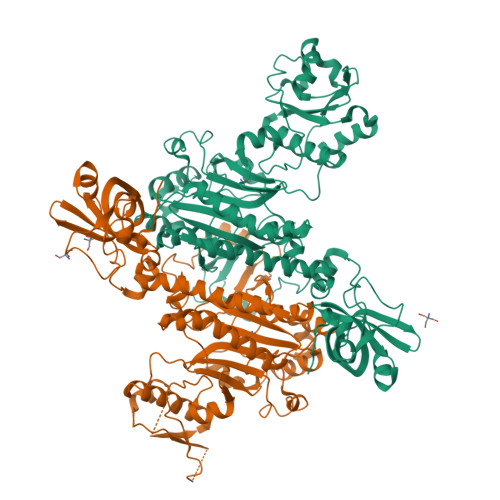 image of structure for 4O2D