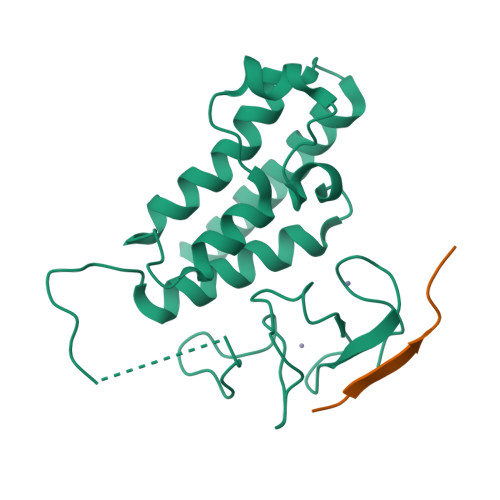 Rcsb Pdb 3o37 Crystal Structure Of Trim24 Phd Bromo Complexed With H3 1 10 K4 Peptide