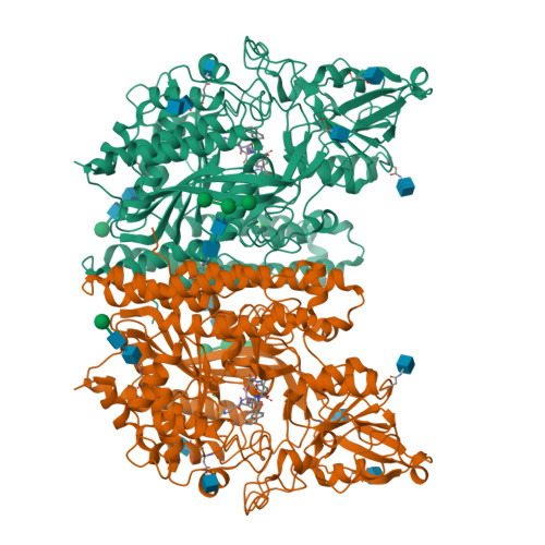 Rcsb Pdb 5o5t X Ray Structure Of Human Glutamate Carboxypeptidase Ii Gcpii In Complex With A Urea Based Inhibitor Psma 1007