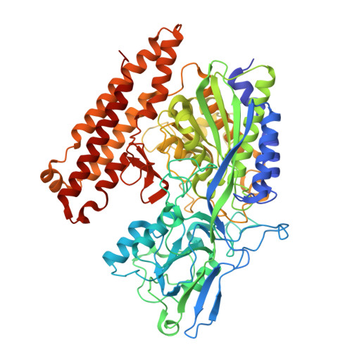 Rcsb Pdb 5o5t X Ray Structure Of Human Glutamate Carboxypeptidase Ii Gcpii In Complex With A Urea Based Inhibitor Psma 1007