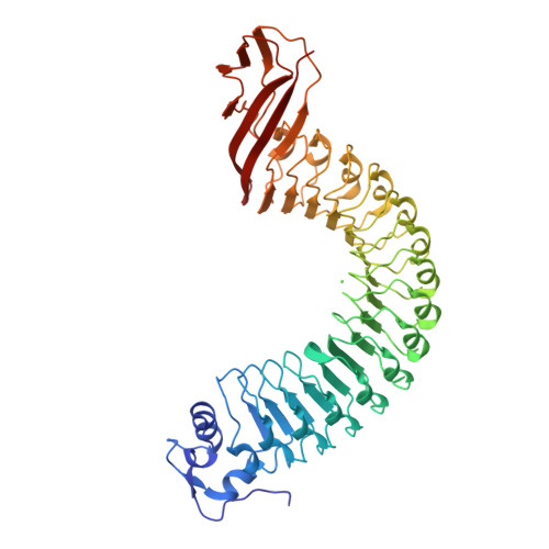 Fascinating internalin Rcsb Pdb 1o6v Internalin Inla Listeria Monocytogenes Functional Domain Uncomplexed