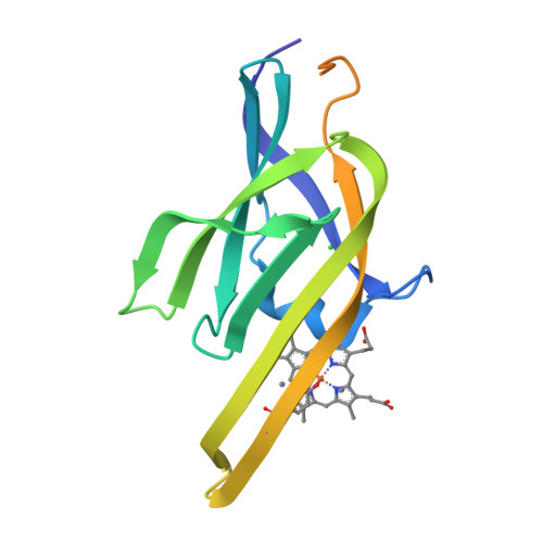 Protein Data Bank: 2O6P