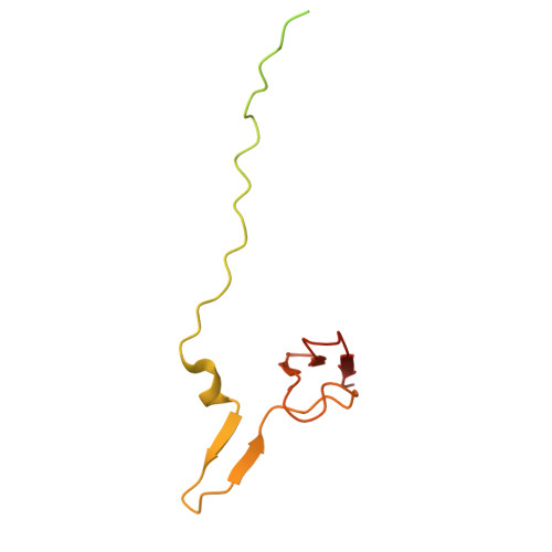 Rcsb Pdb 7o7y Rabbit 80s Ribosome Stalled Close To The Mutated Sars Cov 2 Slippery Site By A Pseudoknot High Resolution