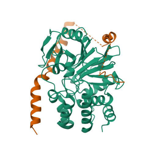 Rcsb Pdb 2o8g Rat Pp1c Gamma Complexed With Mouse Inhibitor 2