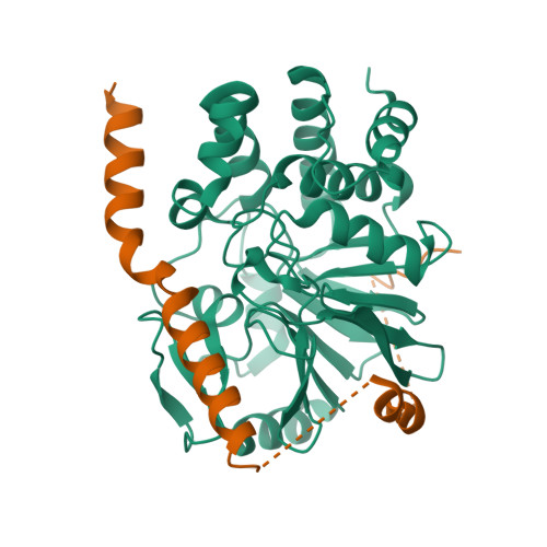 Rcsb Pdb 2o8g Rat Pp1c Gamma Complexed With Mouse Inhibitor 2