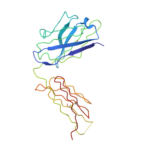 Rcsb Pdb 4o9h Structure Of Interleukin 6 In Complex With A Camelid Fab Fragment